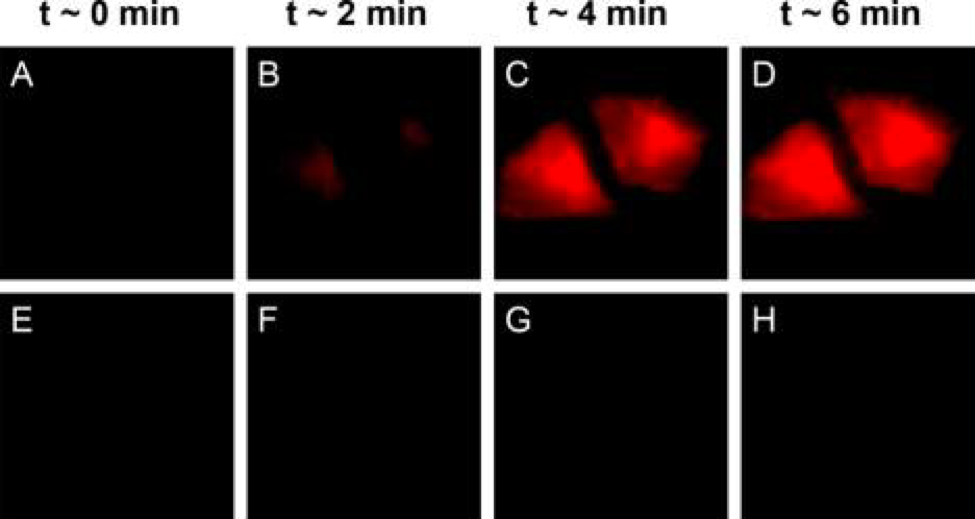 fig1