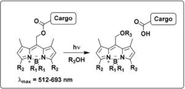 fig1