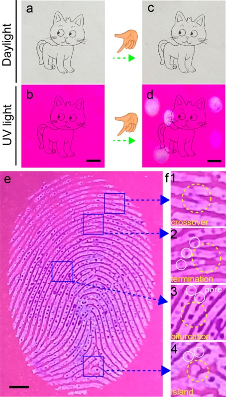 Ink Fingerprinting – Identity Prints Plus