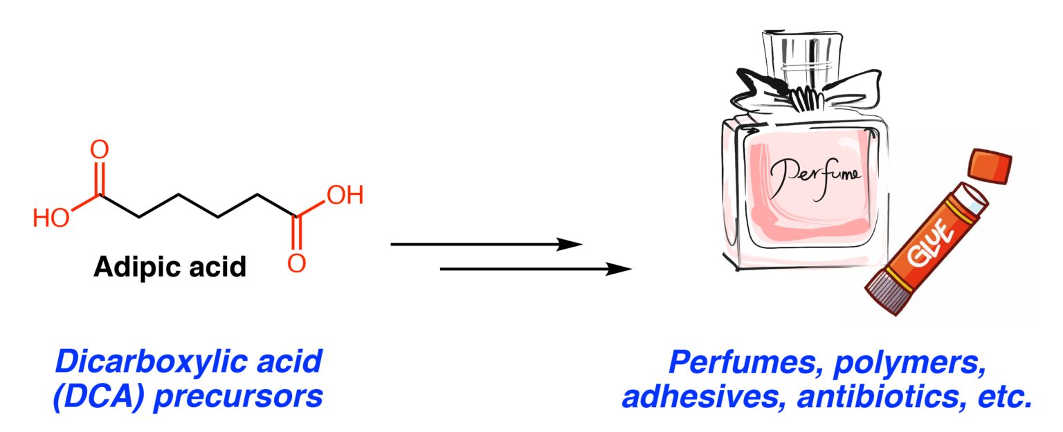 Engineering Dicarboxylic Acid Production Chembites