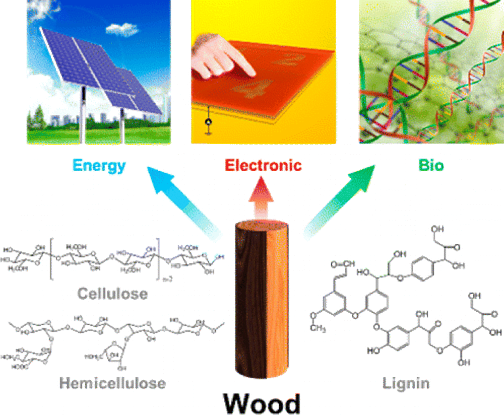 Chemical wood