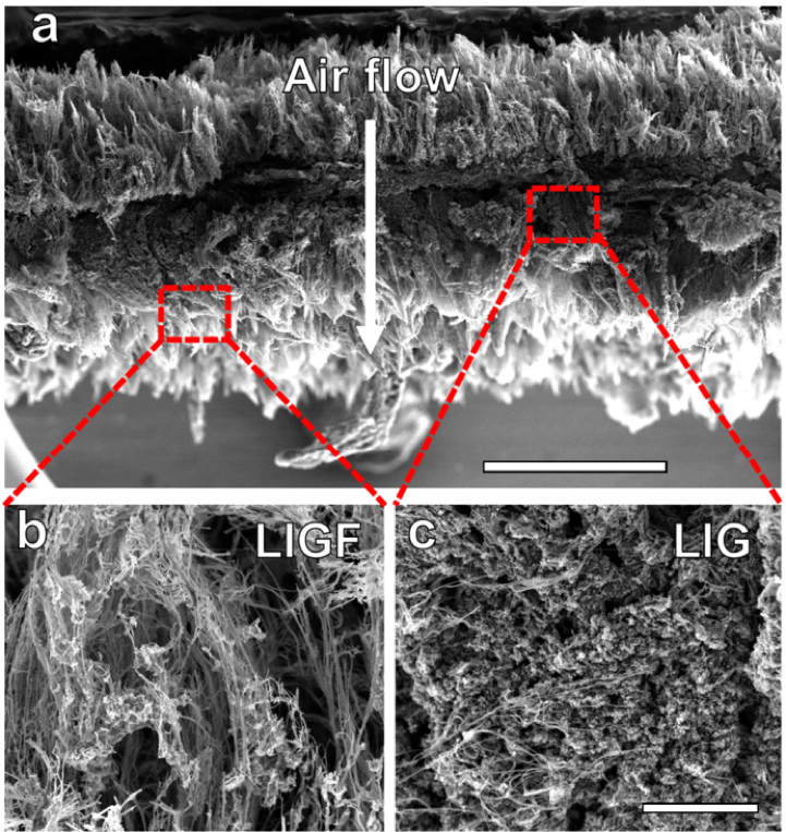 fig1