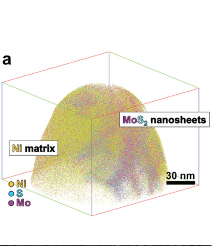 fig1