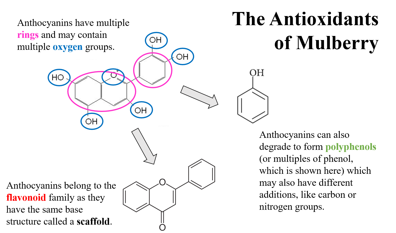 Boiling mulberry juice increases its anticancer properties Chembites