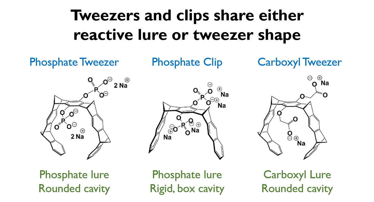 Molecular tweezers pick viral membranes apart Chembites