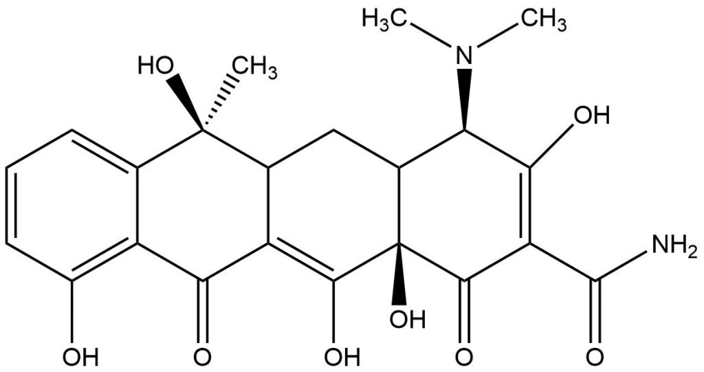 The structure of tetracycline is drawn out.