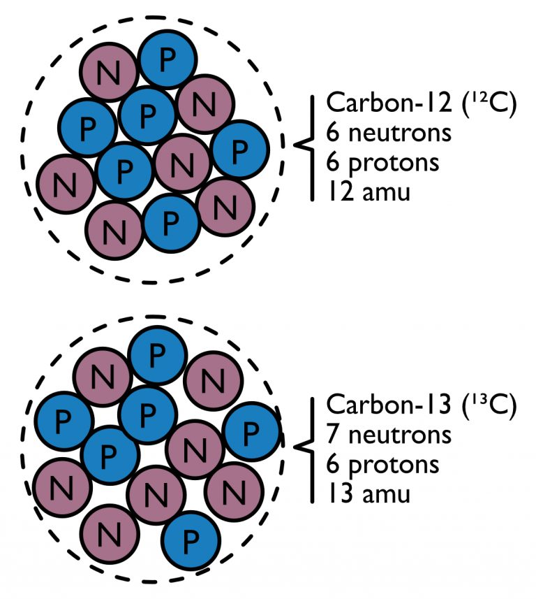 Tracing carbon atoms through the galaxy Chembites