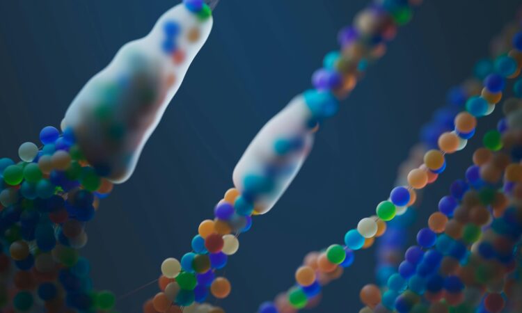 How Cells Handle Damaged Proteins Two Hidden Members of the Cleanup Crew